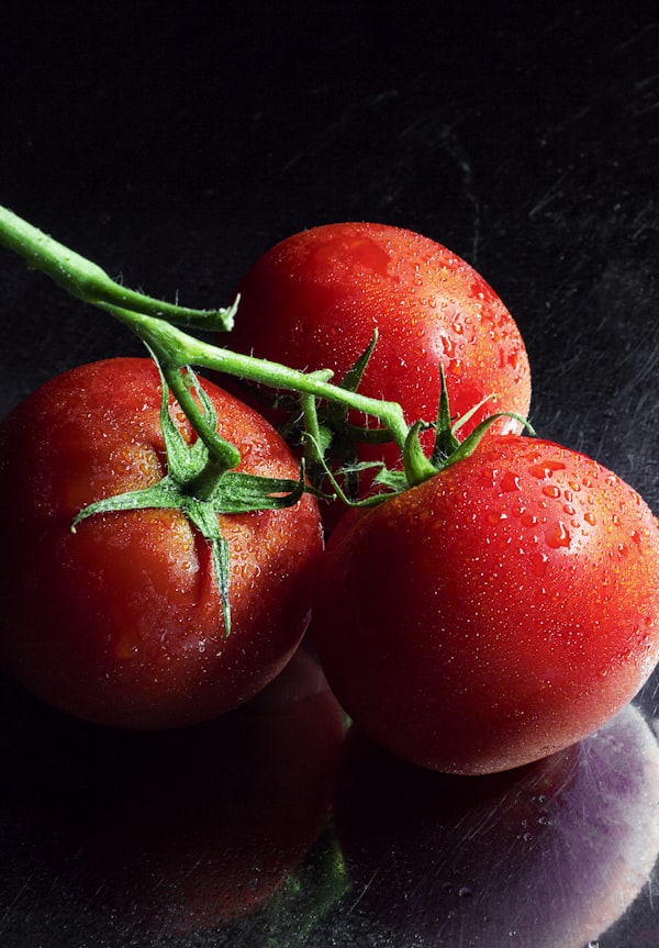 Quality inspector examining fresh produce